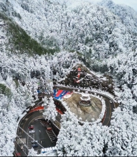 半山春色，半山寒。
