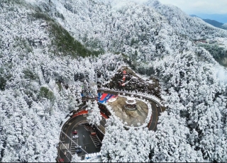 半山春色，半山寒。