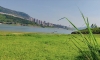 立夏了，万州江边又呈现出夏日美景……