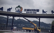 听说，新建的三峡动物园，十月一日开园。