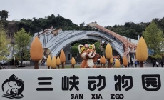 国庆长假第一天，三峡动物园迎来首批体验游客。