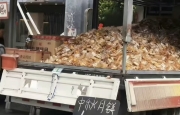 真没人吃月饼了吗？堆起卖10元100个……