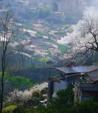 这里是万州城郊的春天，不是婺源......