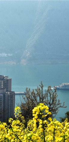 三月的长江三峡，春意盎然