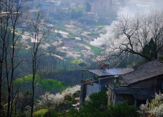 这里是万州城郊的春天，不是婺源......