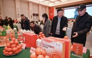 17.8万吨柑橘订单落地！三峡柑橘产销再发力。