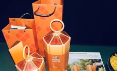 万州玫瑰香橙NFC“次抛”果汁包装获重庆食品包装设计大赛一等奖。