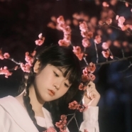 一片片花瓣编织起少女的梦