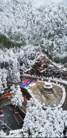 半山春色，半山寒。