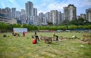 万州牌楼体育场改造升级。