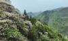 航拍万州石公山林下茶园，感受山林间的林隐茶韵。