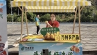 地宝土家族乡千亩黄桃喜迎丰收。