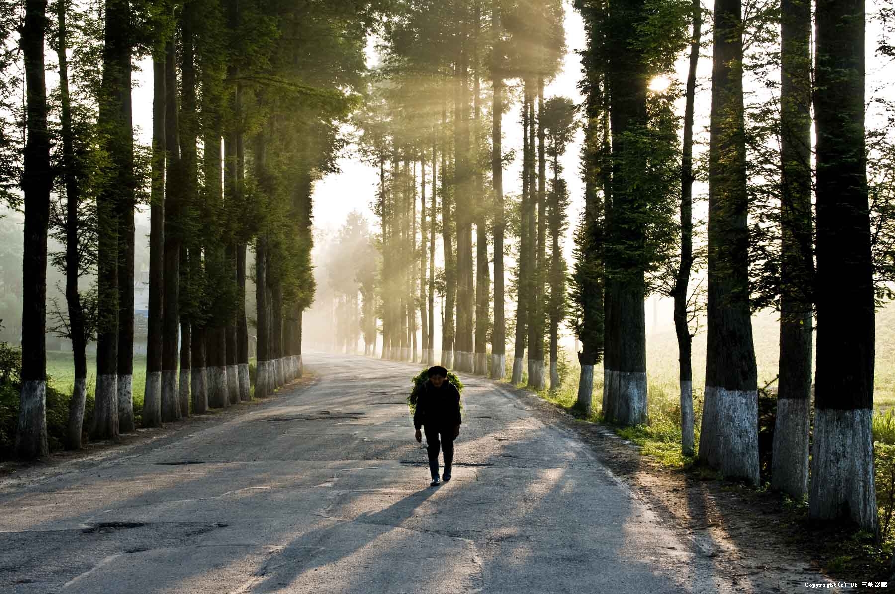 晨曦