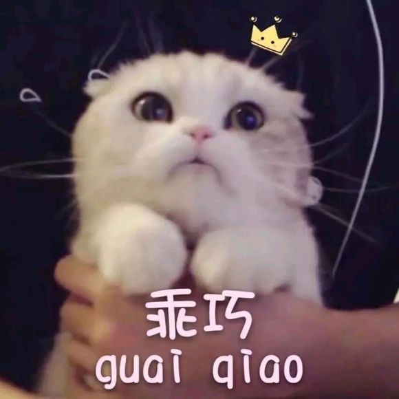 吧友们，请问下万州哪里可以打宫颈癌疫苗啊？需不需要预约呢？-1.jpg