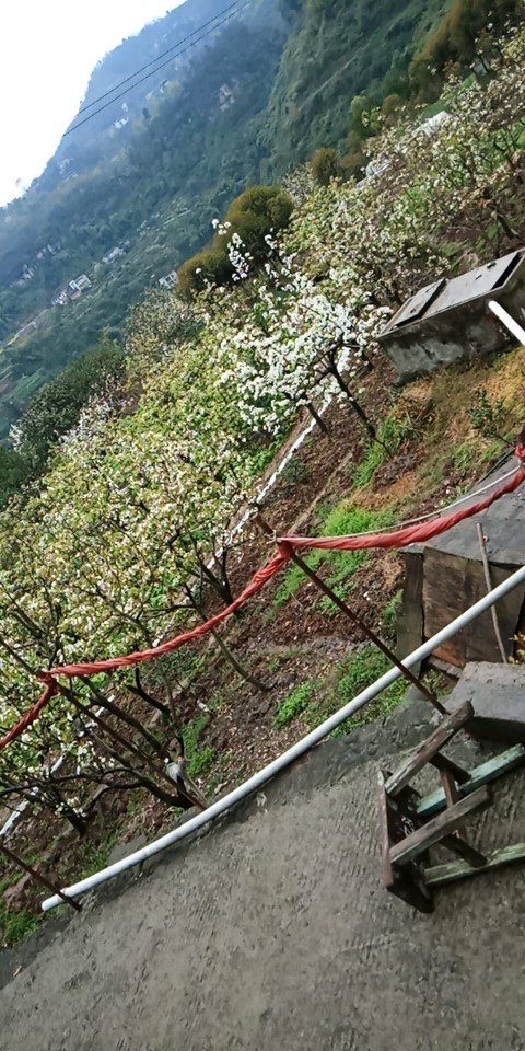 老家算江景房吗-1.jpg