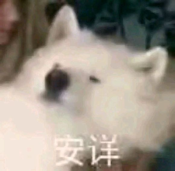 好不容易下定决心迈出一步  结果摔得粉身碎骨  真好-1.jpg