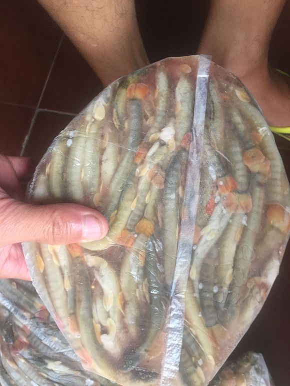 万州有没有认识这个鱼的？吃货可以看过来-3.jpg