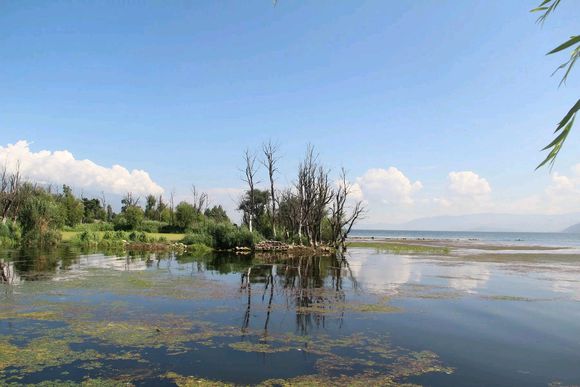 更一贴16年去云南旅游的攻略，玩了十天，吃住行共花了两千五。-7.jpg