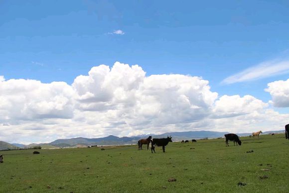 更一贴16年去云南旅游的攻略，玩了十天，吃住行共花了两千五。-6.jpg