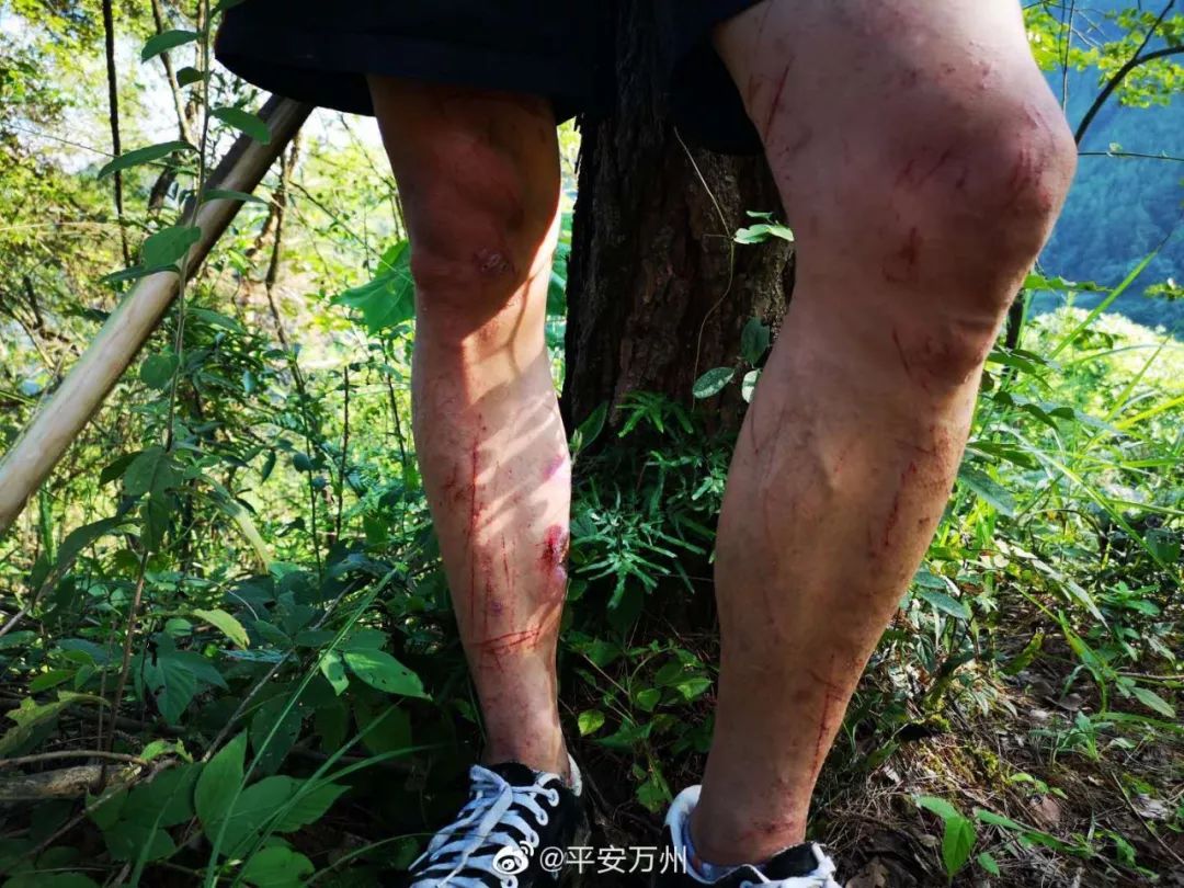 万州一男子独自上山捡菌被困