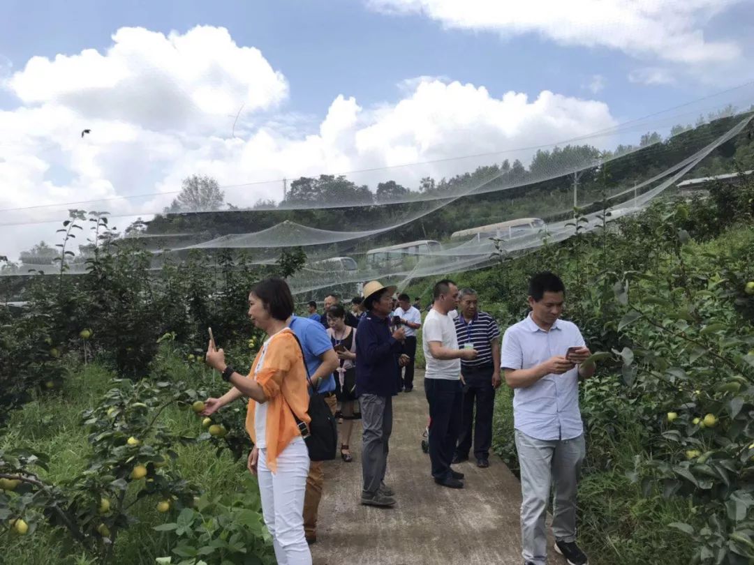 万州举办特色水果推介会
