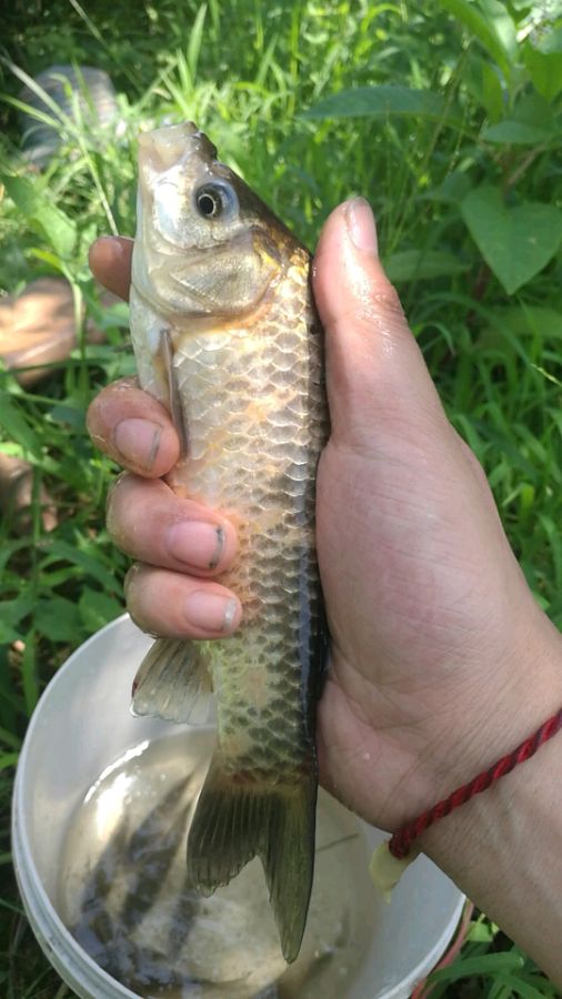 找万州爱好钓鱼的钓友，大家一起-4.jpg