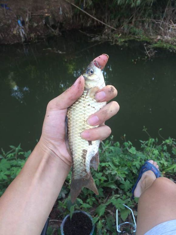 找万州爱好钓鱼的钓友，大家一起-1.jpg