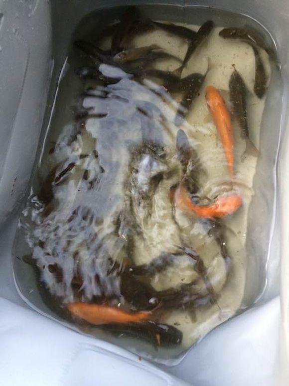 找万州爱好钓鱼的钓友，大家一起-5.jpg