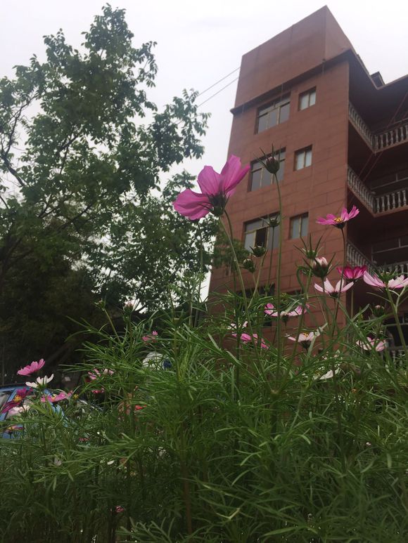 苏马荡自建民宿，懂的来-5.jpg