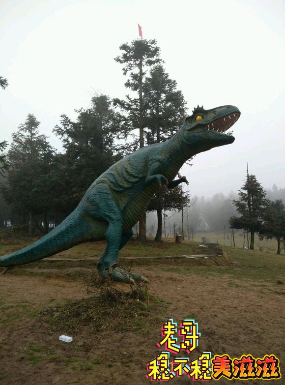 有在渝万传媒工作的大哥不-1.jpg