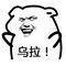 万州的哥哥姐姐，早上6点半有出租吗？或者能叫滴滴吗？请给我好-1.jpg