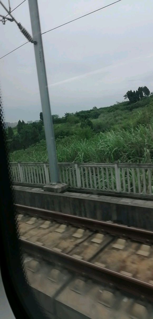 暴走万州，求推荐路线-1.jpg