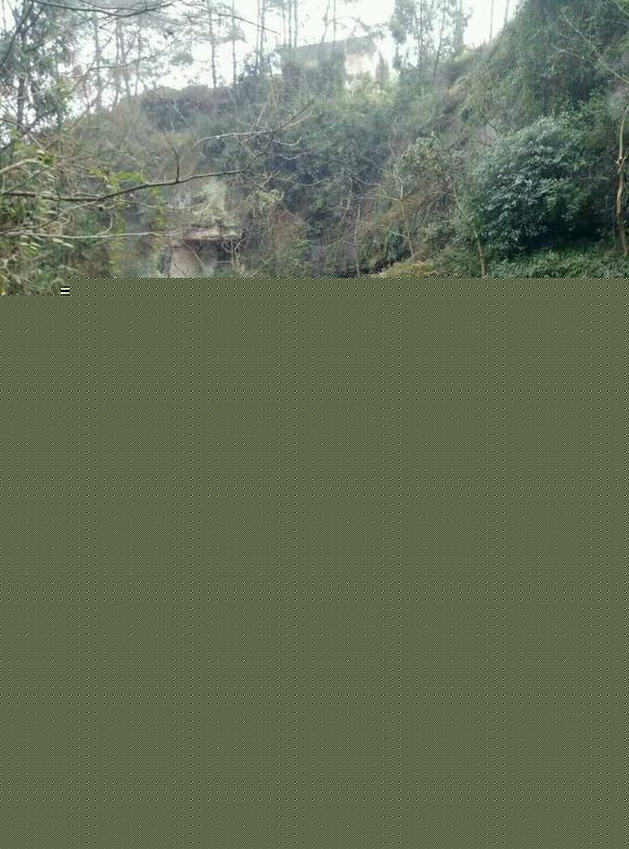 一款来自农村深山野养的藏猪，绝对纯天然吃着百草长大，营养价值-2.jpg