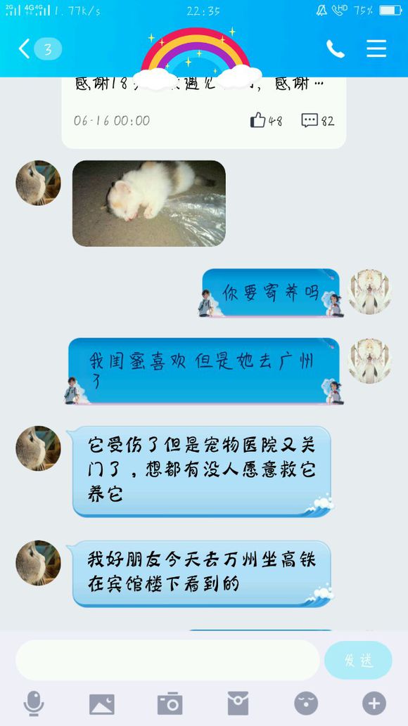 有没有想养猫咪的朋友？我朋友发现了一直受伤的猫咪，但是我们没-1.jpg