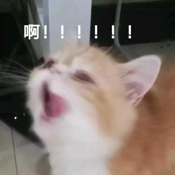 万州哪有有泳池啊？？天热想游泳啊！！-1.jpg