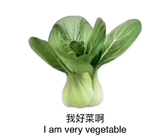 有人了解  启航考研吗？怎么样？-1.jpg