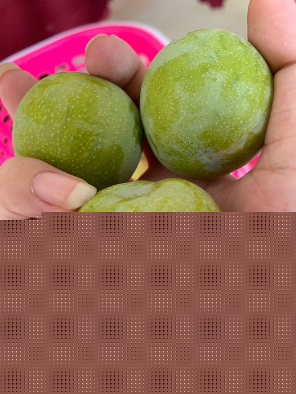 听说桃慌李饱，我家都有怎么办-2.jpg