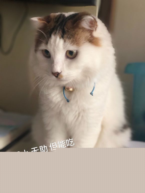 有万州的小姐姐约拍吗，免费的那种-1.jpg