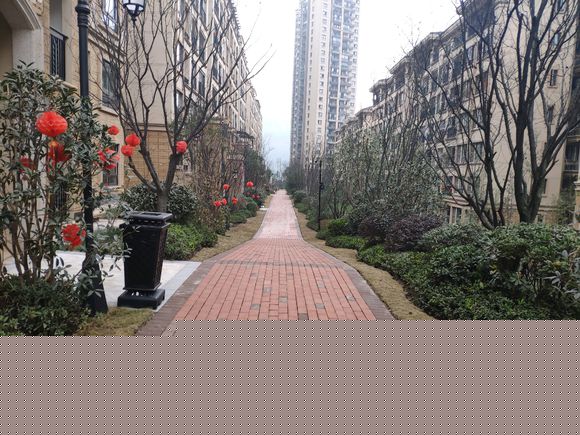 猜猜这是哪里，有邻居不-4.jpg
