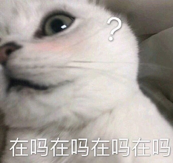 还有没睡的吗？-1.jpg