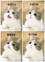 要下雨就下啊吹阴风打雷一个人在家真的很害怕七月鬼出门嘛-1.jpg