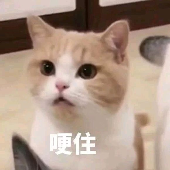 有万州的姐妹吗 私我-1.jpg
