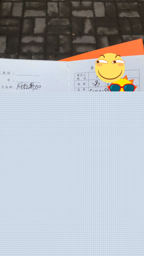 怎么办狗证呀 好多钱呢-1.jpg