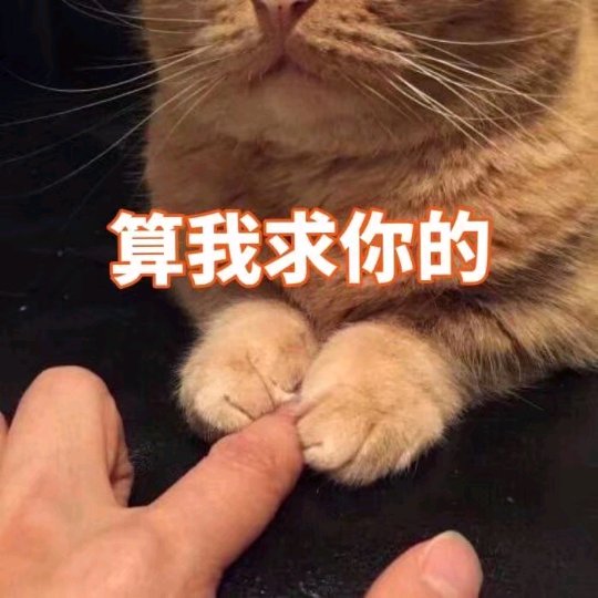 请问万州哪儿有给猫猫打疫苗的地方吗-1.jpg