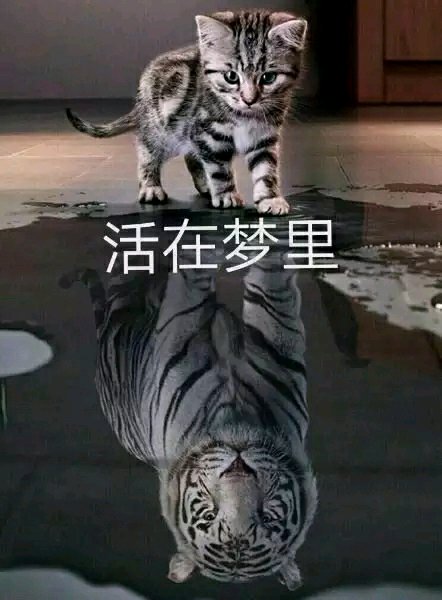找个重庆南岸区女友-1.jpg