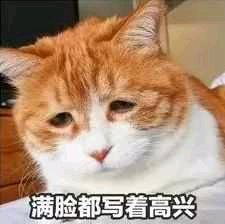 来个好点的工作吧，别来媒体，主播什么的了求求你们了-1.jpg