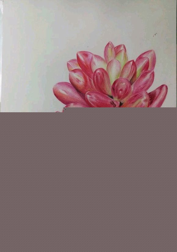 有喜欢和想学画画的吗？素描 水粉 水彩 彩铅 动漫可以带你们-2.jpg