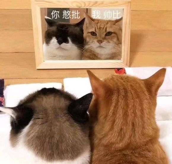 有人愿意王者带我这个铁憨憨话痨么-1.jpg