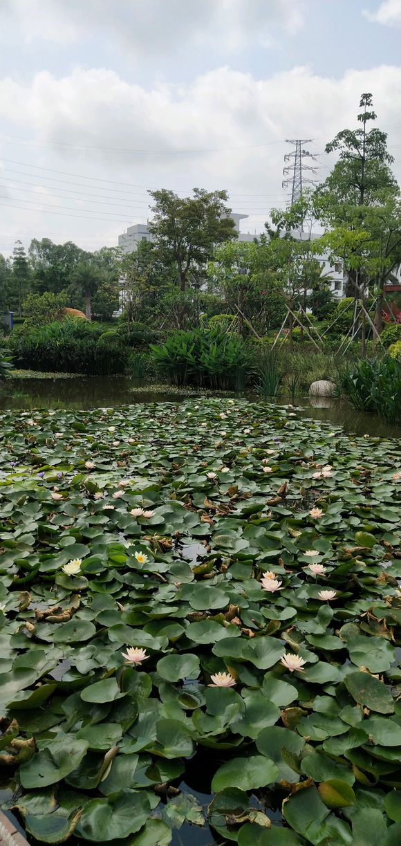 万州现在做一个阳台雨棚多少钱一平方-1.jpg