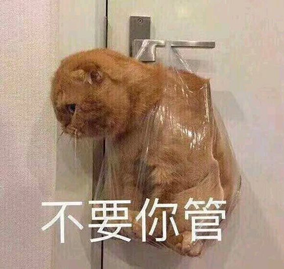 哪里有好的算命子？-1.jpg